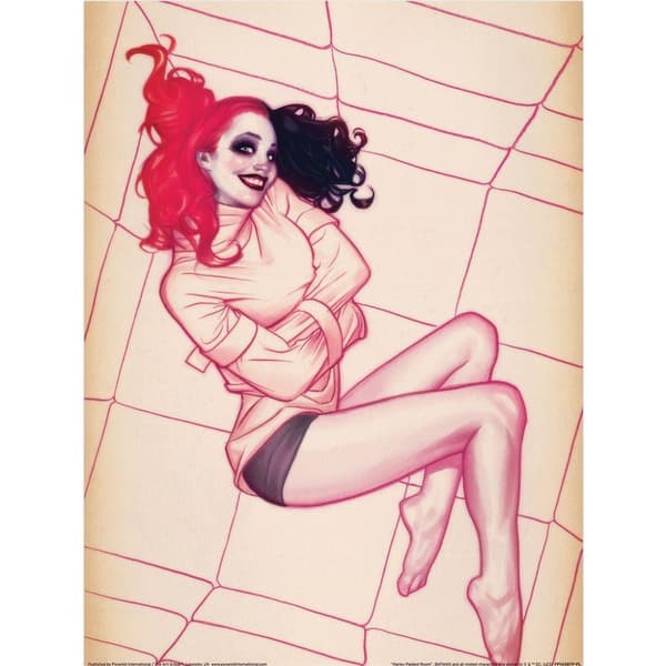 DC Comics Padded Room Harley Quinn Print Pink 40cm x 30cm