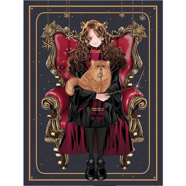Harry Potter: Wizard Dynasty Hermione Chair Print Multicoloured 40cm x 30cm