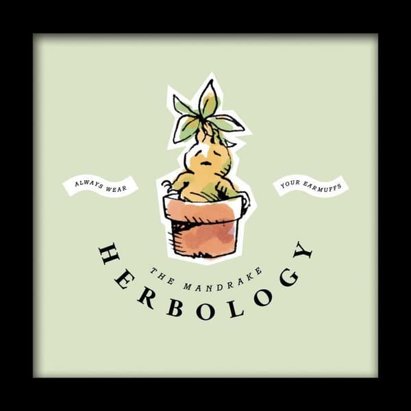 Harry Potter Herbology Watercolour Framed Art Print Green/Black/White 30.5cm x 30.5cm