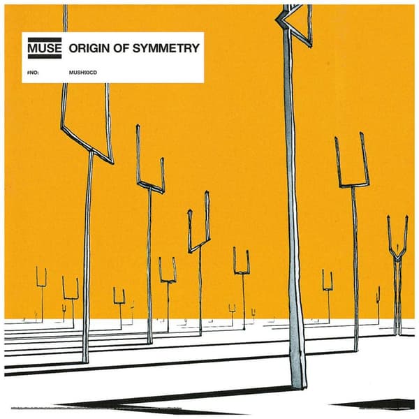 Muse Origin Of Symmetry Print Yellow/Grey 30.5cm x 30.5cm