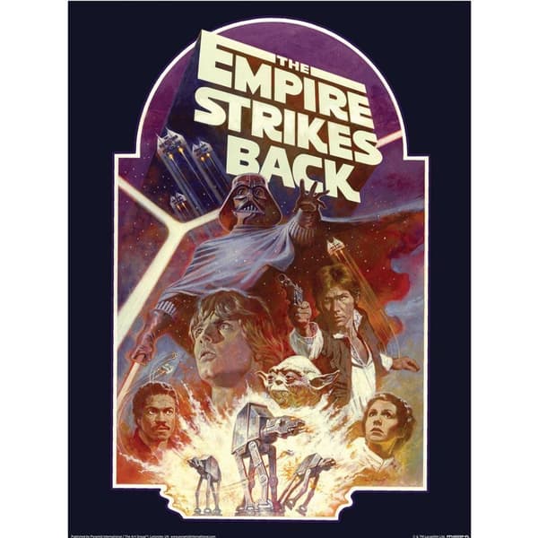Star Wars Empire Strikes Back Block Print Multicoloured 40cm x 30cm