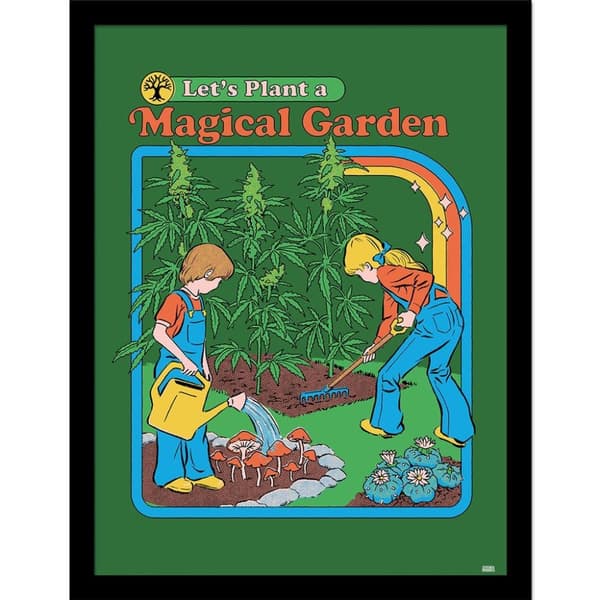 Steven Rhodes Let´s Plant A Magical Garden Framed Poster Green/Orange 40cm x 30cm