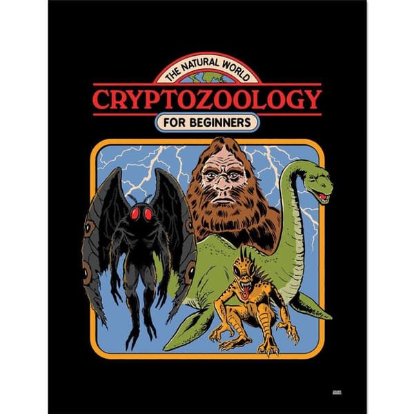 Steven Rhodes Cryptozoology For Beginners Framed Poster Black/Multicoloured 40cm x 30cm