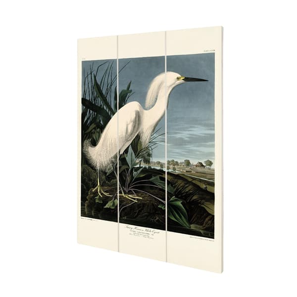 John James Audubon Snowy Heron Mini Wood Print White/Green/Blue 29.5cm x 20cm x 1.2cm