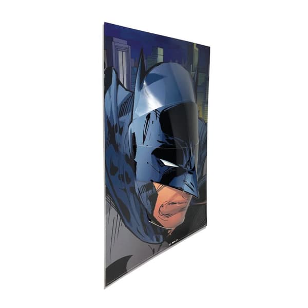 Batman The Cowl The Scowl 3D Poster