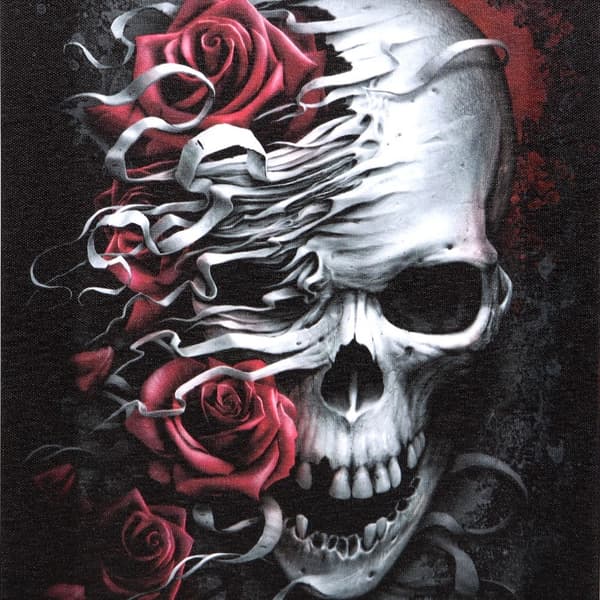 Spiral Direct Skulls N´ Roses Canvas Print