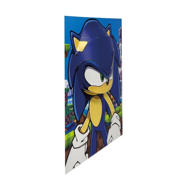 Sonic The Hedgehog Popheads 3D Poster