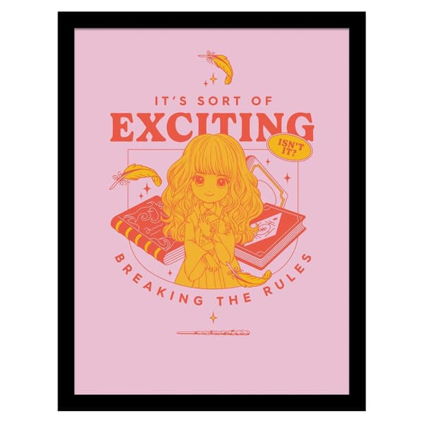 Harry Potter Witty Witchcraft Breaking The Rules Print Pink/Yellow/Red 40cm x 30cm