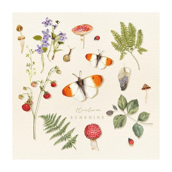 Summer Thornton Heulwen Sunshine Print