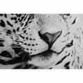 Miniatyrbild 3 av 4: Tavla DKD Home Decor 100 x 2,5 x 100 cm Leopard Kolonial (2 antal)