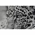 Miniatyrbild 2 av 4: Tavla DKD Home Decor 100 x 2,5 x 100 cm Leopard Kolonial (2 antal)