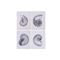 Miniatyrbild 1 av 4: Tavla Home ESPRIT Snigel 60 x 2,5 x 80 cm (4 antal)
