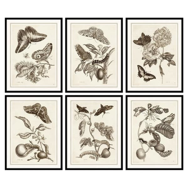 Maleri DKD Home Decor 50 x 2,5 x 65 cm Cvetlice Moderne (6 Dele)