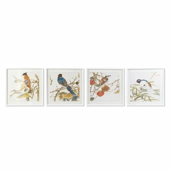 Maleri DKD Home Decor Fugl Shabby Chic 60 x 2,5 x 60 cm (4 enheder)