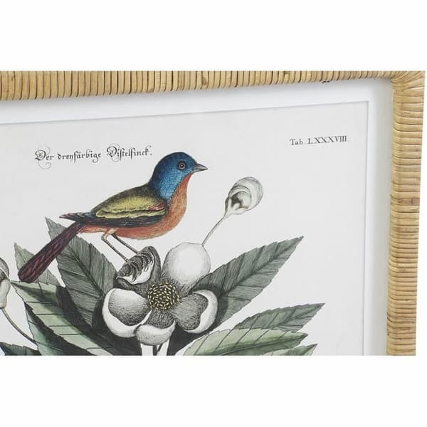 Maalaus DKD Home Decor 50 x 2,5 x 65 cm Shabby Chic Kasvitieteelliset kasvit (4 Kappaletta)