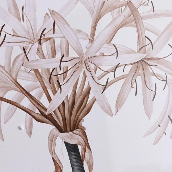 Maalaus DKD Home Decor Kristalli Koivu 55 x 70 x 2,5 cm 55 x 2,5 x 70 cm Gėlės (4 Kappaletta)