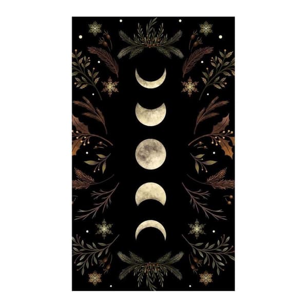 Episodic Drawing Moonlight Garden Winter Brown Print