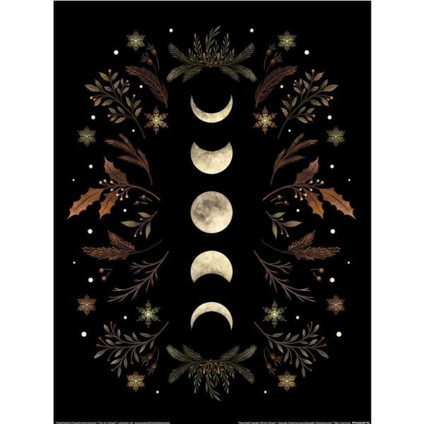Episodic Drawing Moonlight Garden Winter Brown Print Black/White 40cm x 30cm