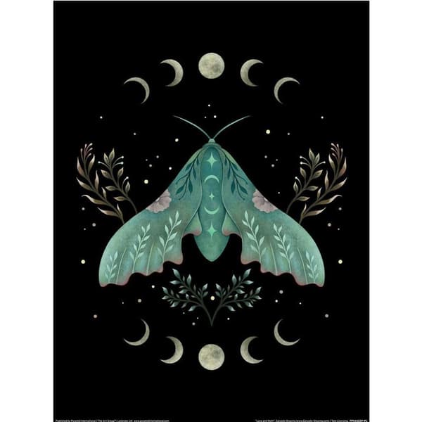 Episodic Drawing Luna Moth Print Black/Green 40cm x 30cm
