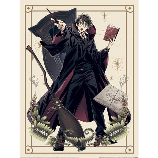 Harry Potter Wizard Dynasty Harry Spells Paper Print Beige/Black/Maroon One Size