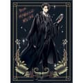 Miniatyrbilde 1 av 2: Harry Potter Tom Marvolo Riddle Print