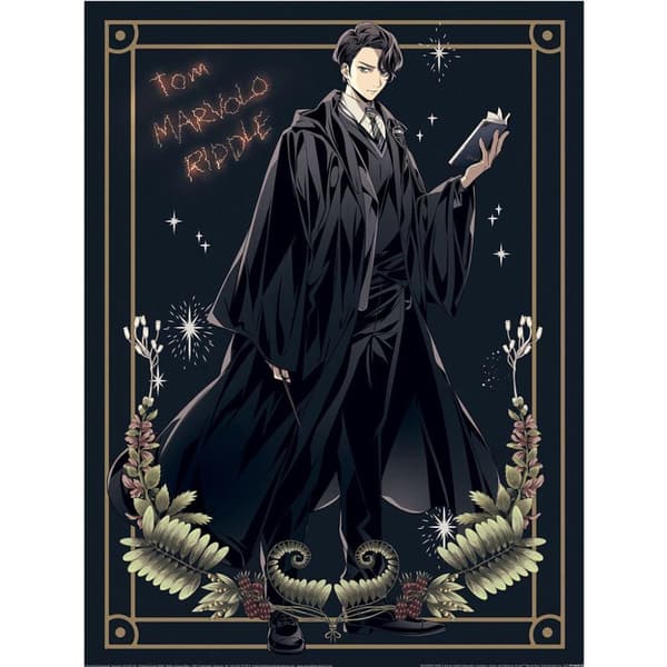 Harry Potter Tom Marvolo Riddle Print Black/Gold 40cm x 30cm