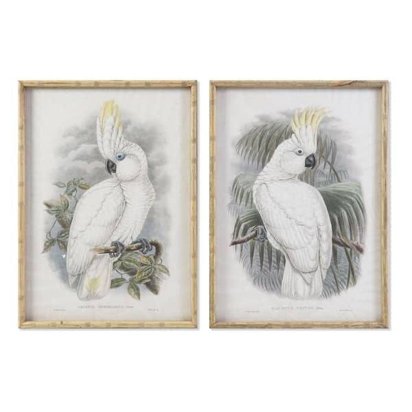 Tavla DKD Home Decor 50 x 2,8 x 70 cm Kolonial Papegoja (2 antal)