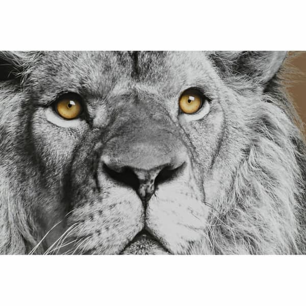 Maleri DKD Home Decor 67 x 3 x 93 cm Kolonistil Jungle (3 Dele)