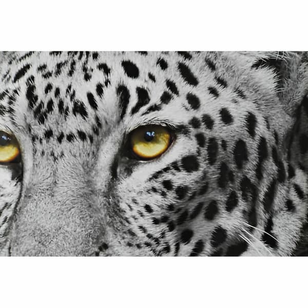 Maleri DKD Home Decor 67 x 3 x 93 cm Kolonistil Jungle (3 Dele)