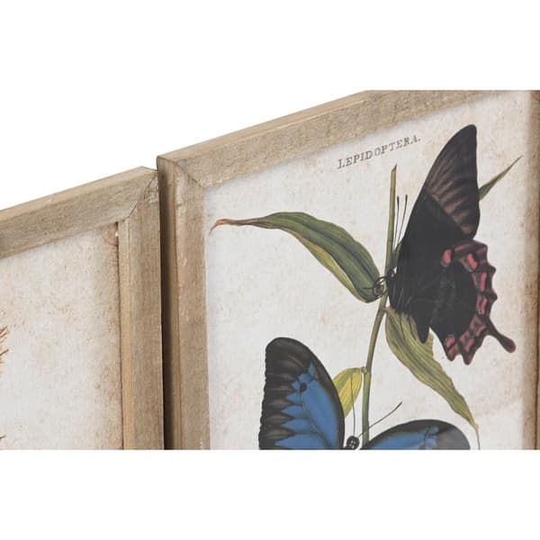 Maleri DKD Home Decor Sommerfugle 40 x 2 x 50 cm Shabby Chic (4 Dele)