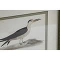 Miniatyrbillede 3 af 4: Maleri Home ESPRIT Fugle Cottage 40 x 2,5 x 54 cm (6 enheder)