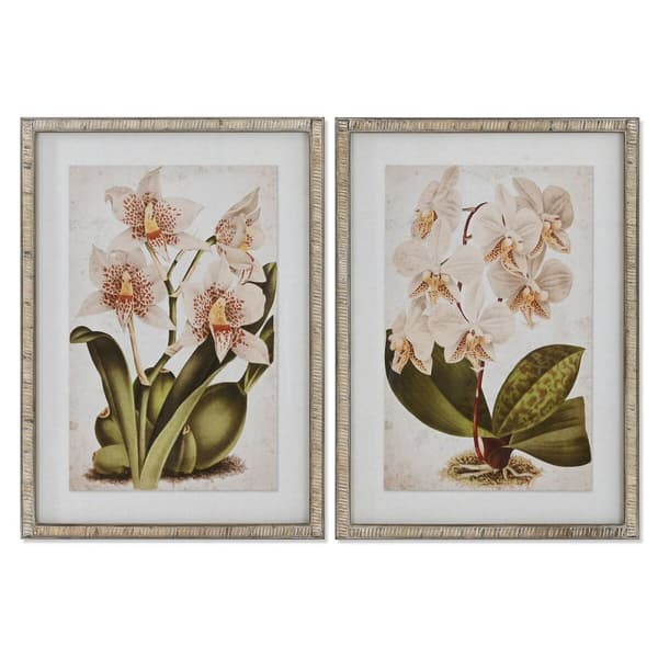 Tavla Home ESPRIT Tropiskt Orkidé 50 x 2,5 x 70 cm (2 antal)