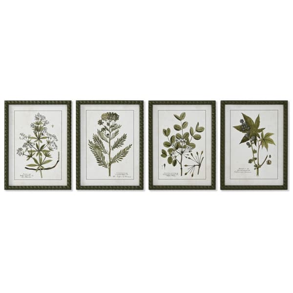 Tavla Home ESPRIT Grön Beige Shabby Chic Botaniska växter 30 x 2,5 x 40 cm (4 antal)