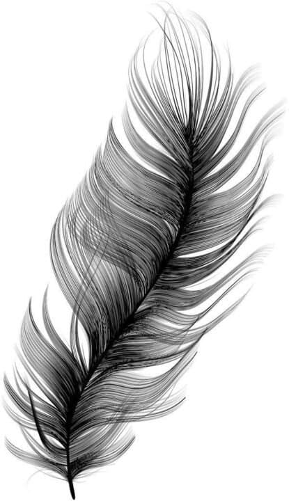 Feather Affisch 30x40 cm