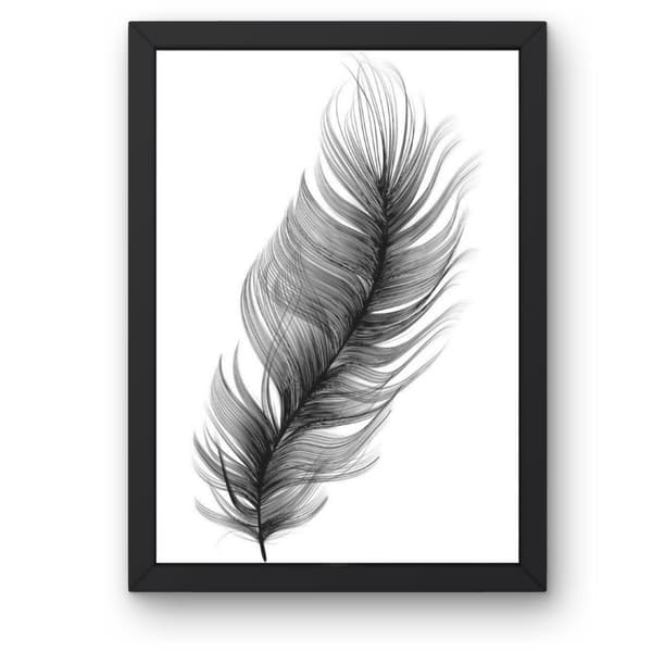 Feather Affisch 50x70 cm
