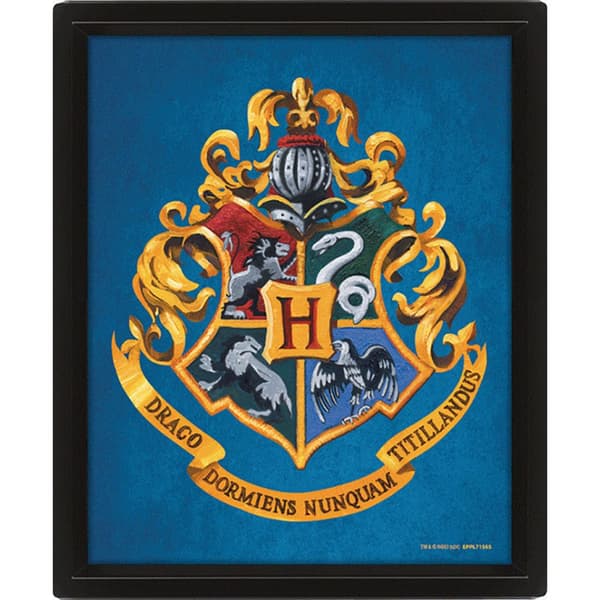 Harry Potter Ravenclaw 3D Framed Picture