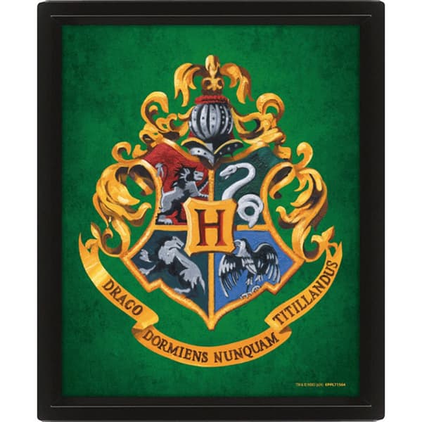 Harry Potter Slytherin 3D Framed Picture