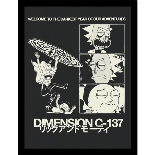 Rick And Morty Dimension C-137 Framed Poster Black/White 40cm x 30cm