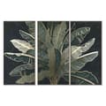 Miniatyrbilde 1 av 5: Sett 3 bilder Home ESPRIT Palmer Tropisk 180 x 4 x 120 cm (3 Deler)