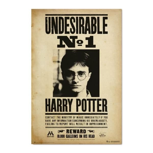 Harry Potter Tearproof Poster N1