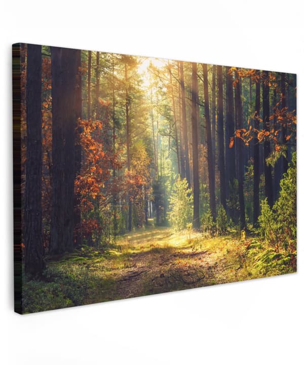 MuchoWow Högupplöst Foto på Canvas -Väggdekoration - Målning Print - Enkelt Upphängningssystem