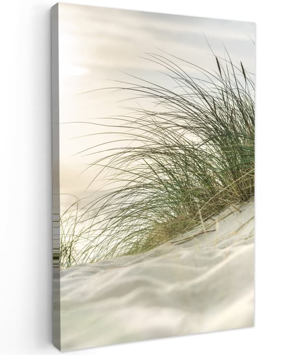 MuchoWow Högupplöst Foto på Canvas -Väggdekoration - Målning Print - Enkelt Upphängningssystem