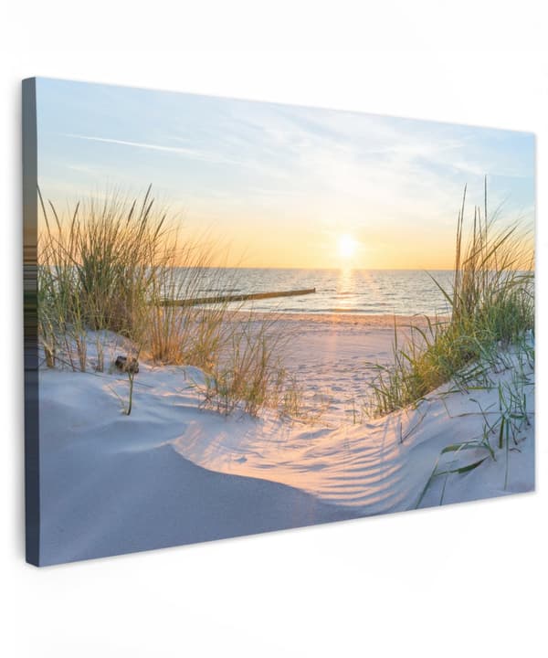 MuchoWow Högupplöst Foto på Canvas - Väggdekoration - Målning Print - Enkelt Upphängningssystem