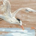 Miniatyrbilde 3 av 5: Maleri DKD Home Decor Fugler Middelhavet (45 x 2,7 x 45 cm) (2 enheter)