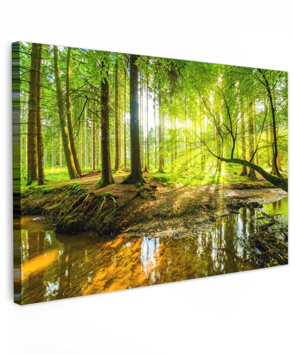 MuchoWow Högupplöst Foto på Canvas - Väggdekoration - Målning Print - Enkelt Upphängningssystem