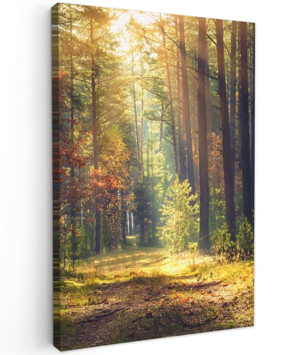 MuchoWow Högupplöst Foto på Canvas - Väggdekoration - Målning Print - Enkelt Upphängningssystem