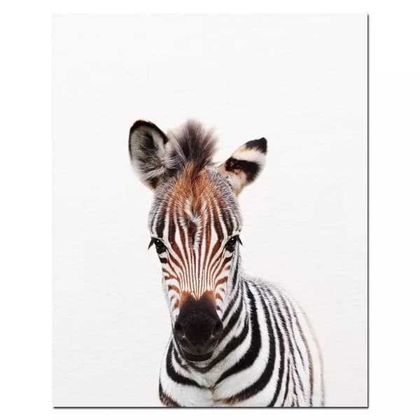 Plakat - Zebra