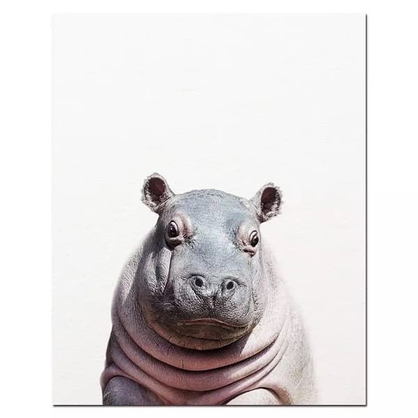 Plakat - Flodhest