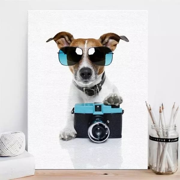Plakat - Hund med kamera