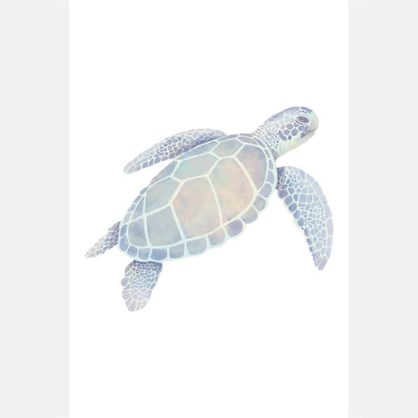 Plakat - Skildpadde